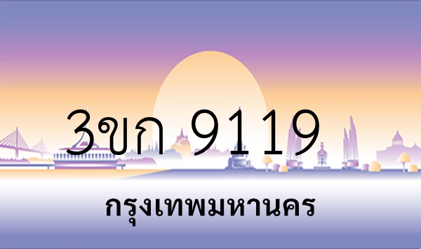 3ขก 9119